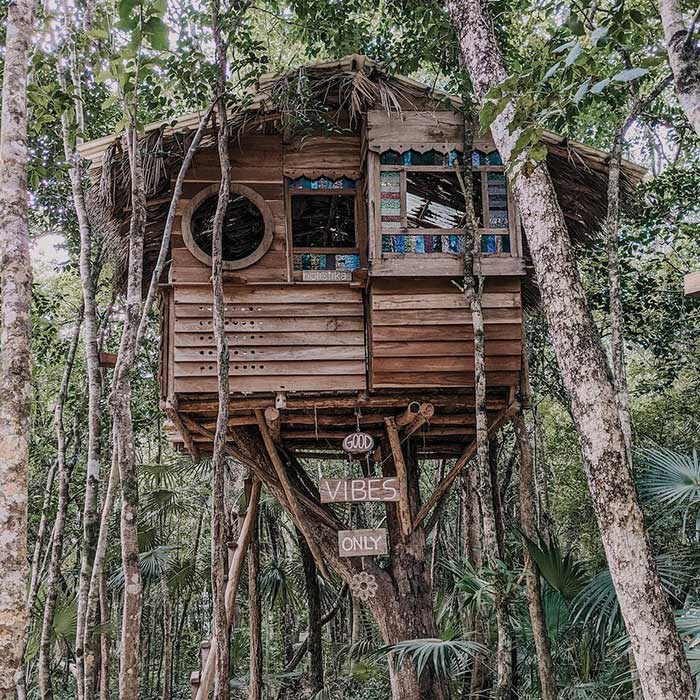 Stay In A Tree House