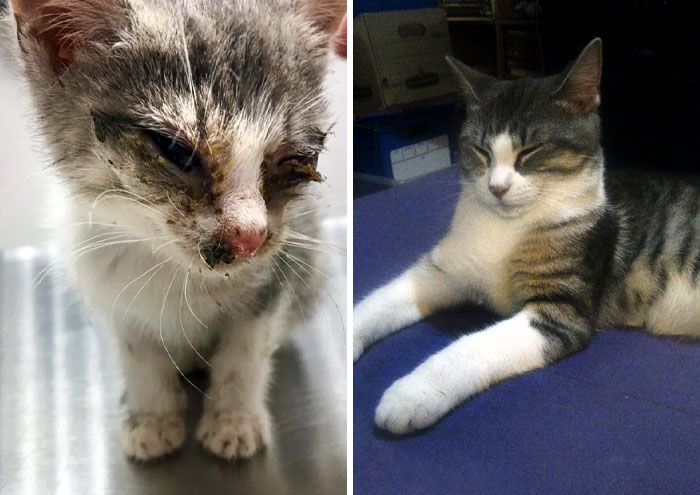 Penelope Before And After Adoption