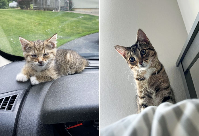 When I Found Lilith On The Side Of The Road While At Work And Now