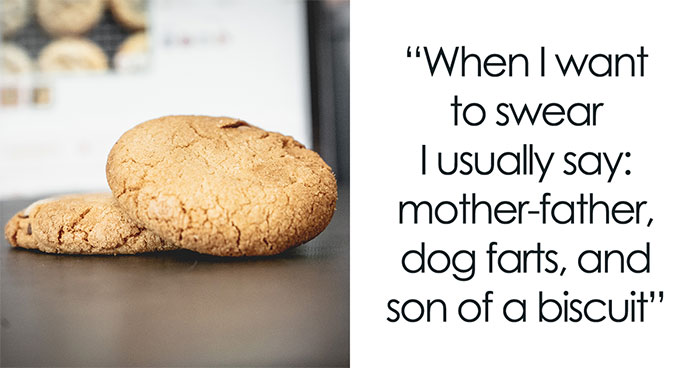 30 Most Ridiculous Things You Say So You Don’t Swear, Shared By Our Community