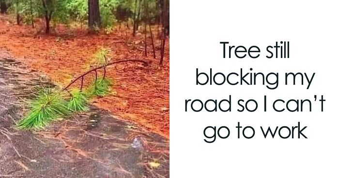 “I Feel Personally Attacked By This Meme”: 40 Random Funny Memes That Hit Too Close To Home