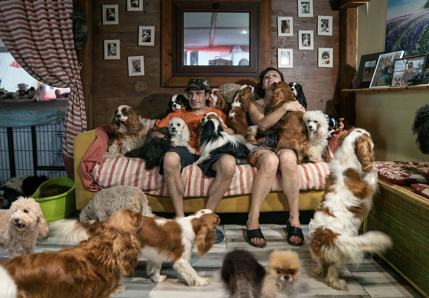 The Dog Breeder's Life By Stefano Rosselli