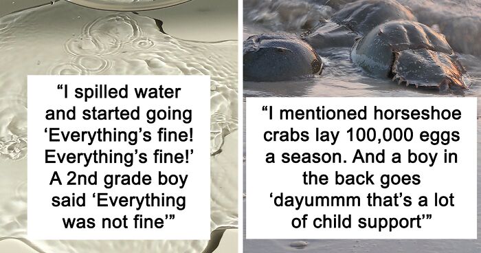 45 Times Students Delivered Jokes So Good, Their Teachers Couldn’t Help ...