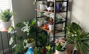 Hey Pandas, Share Your Happy Place