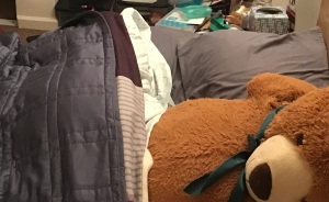 Hey Pandas, Share Your Happy Place