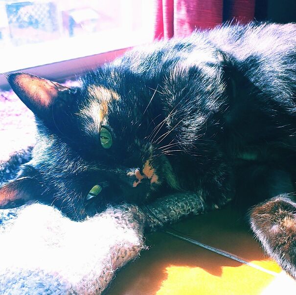 I Wish I Was As Photogenic As My Girl Cinder