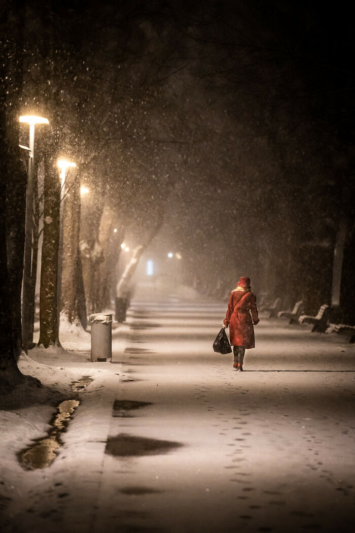 Snowy Night Walk
