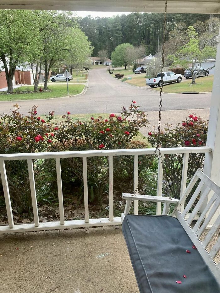 Here Is My “Not-So-Special” View From Our Home In Mississippi, United States Where We Raise Our Four Children With A Love Of All Outdoor Views!