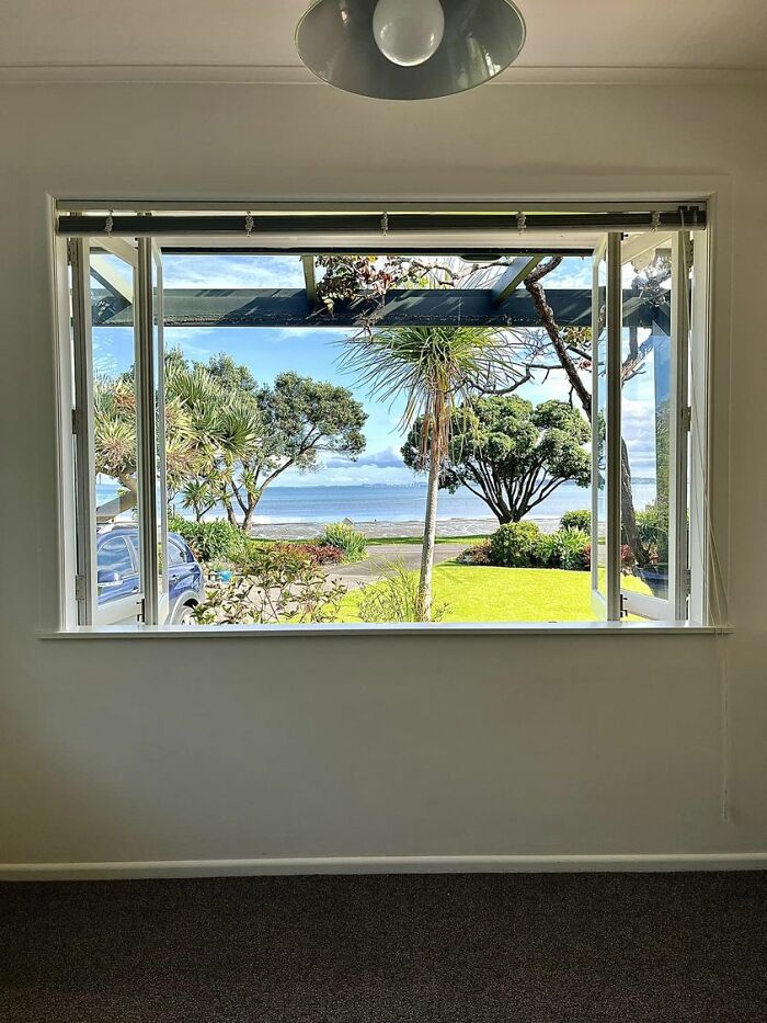 The View From My Kitchen Window. Auckland, New Zealand