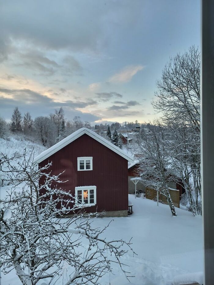 View From My Library Window In Snåsa, Rural Norway. We Have About 4 Hours Daylight This Time Of Year, And The Cold Winter Light Makes Everything Beautiful - I Think
