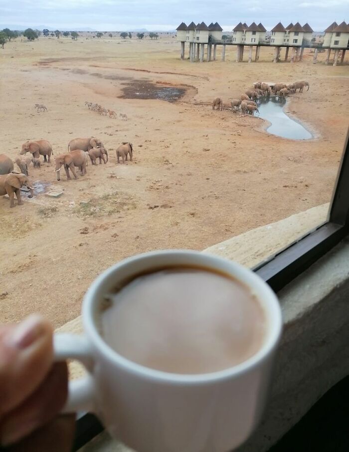 View From My Window In Summer. Kenya
