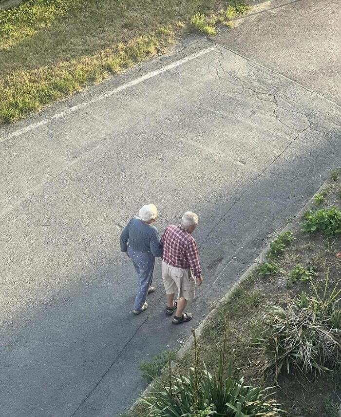 I Took This Photo From The Balcony A Year Ago, I Still Have It In My Gallery And I Still See Them Together Like This