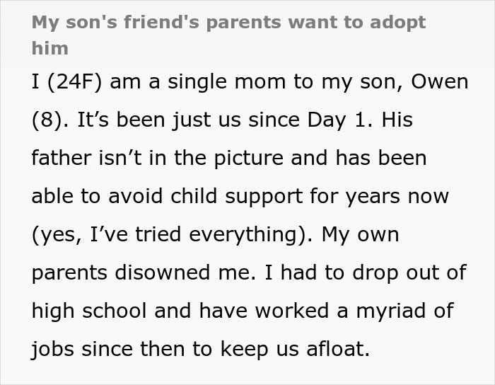 Rich Parents Want To Adopt Their Son's Friend From His Single Mom, The Mom Only Then Realizes All The Red Flags Rich Parents Want To Adopt Their Son's Friend From His Single Mom, The Mom Only Then Realizes All The Red Flags