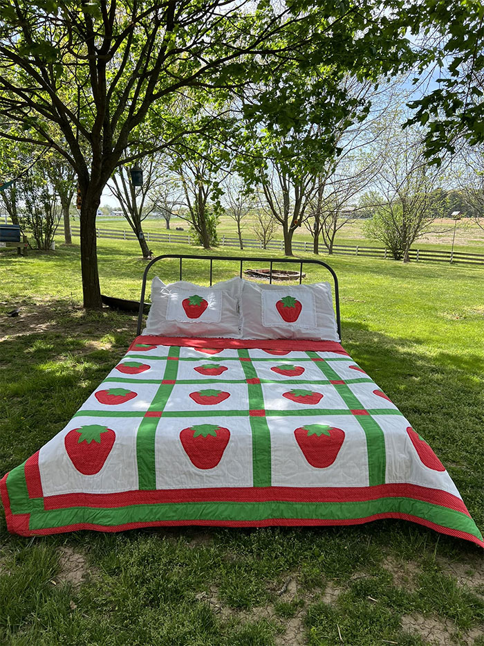 Thrifted Handmade Comforter And 2 Shams For $3! The Stems And Strawberries Are Hand Stitched Appliqués. Ridiculous Amount Of Work! Not My Style, But Did I Move My Bed To Backyard For This Glorious Photo??? Yes I Did!!
