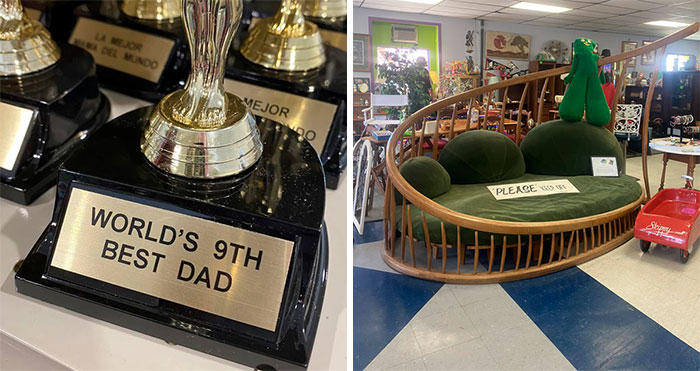 People Are Sharing The Weirdest And Coolest Things They’ve Scored While Thrifting (New Pics)
