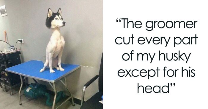 30 Weird Ways To Get Creative, As Shared On This Online Group