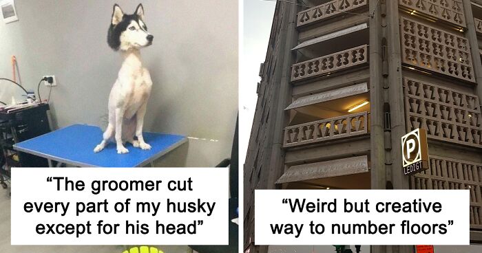 30 Weird Ways To Get Creative, As Shared On This Online Group