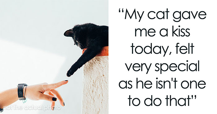 40 Things That Made People Smile, Shared By The Bored Panda Community