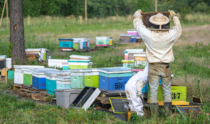 64 Cool 'Adult Things,' As Shared By People In This Online Community