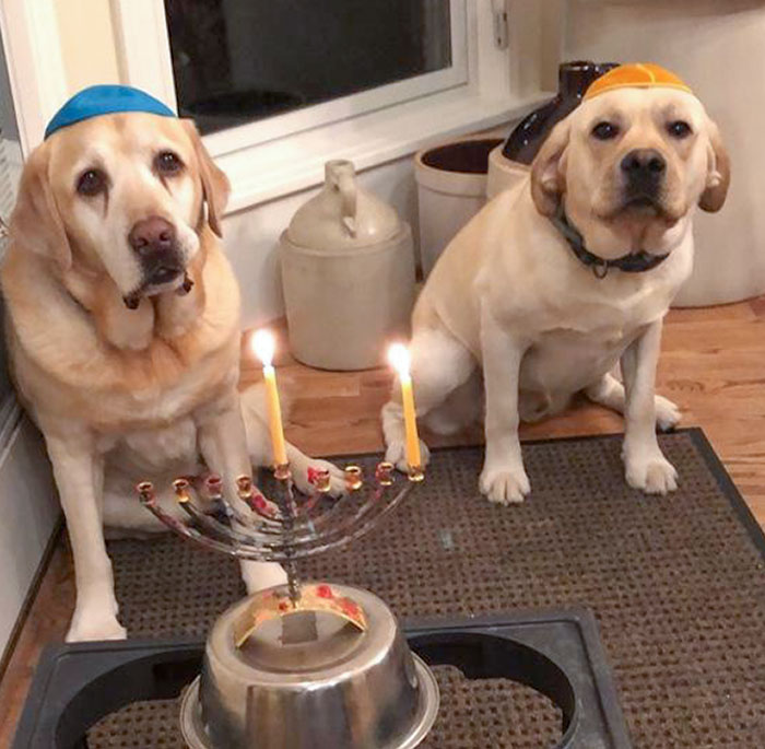 Cómo mi madre decidió celebrar el Hanukkah mientras sus hijos están en la universidad