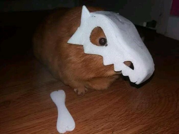 Wholesome-Very-Blessed-Images