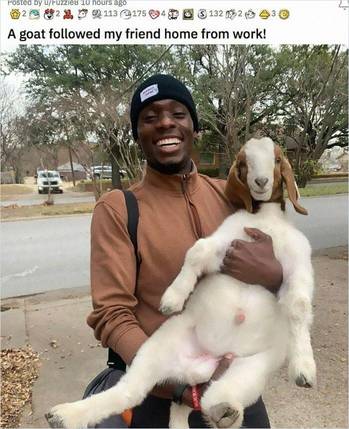 Wholesome-Very-Blessed-Images