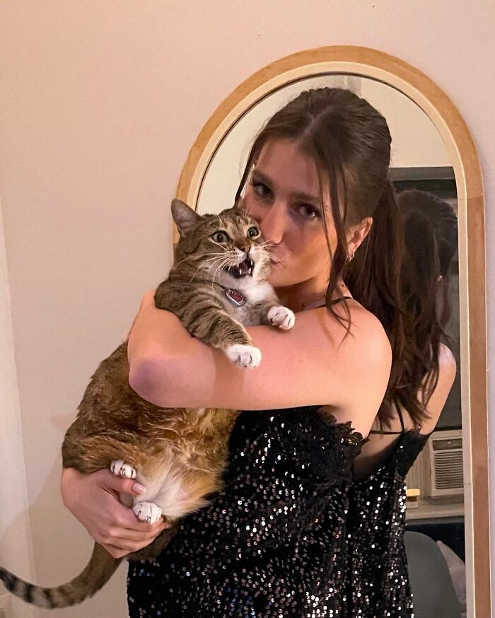 Woman Stuck On Roof Decides It’s Faster To Call Uber Eats For Help Woman Stuck On Roof Decides It’s Faster To Call Uber Eats For Help