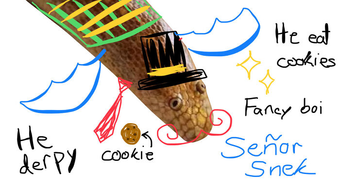 Introducing… Señor Snek