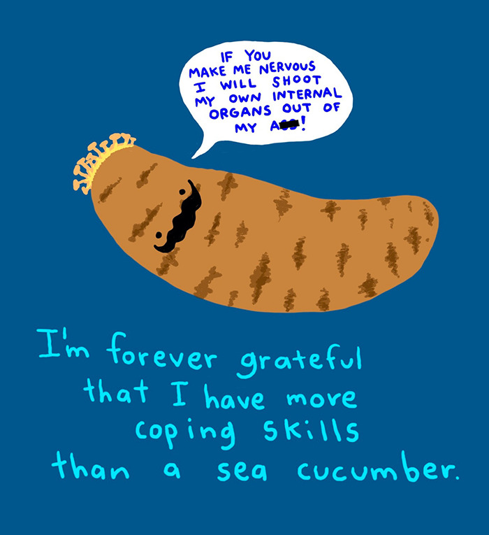 More Resilient Than A Sea Cucumber