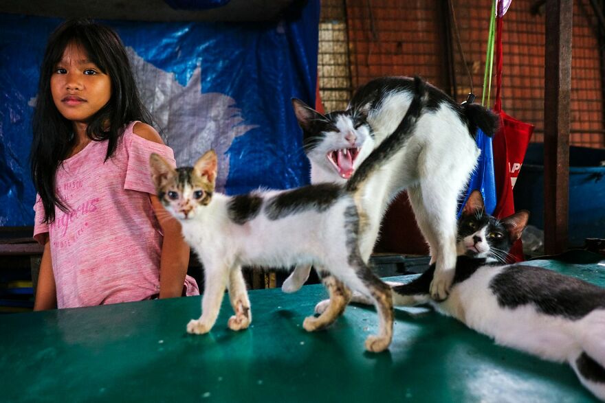 Photographer Takes To The Streets Capturing Unlikely Coincidences (53 New Pics)