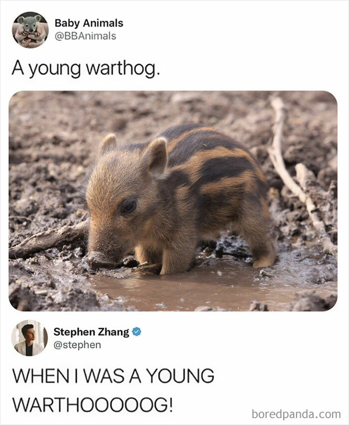 Every Time I See A Warthog I Think Of This!