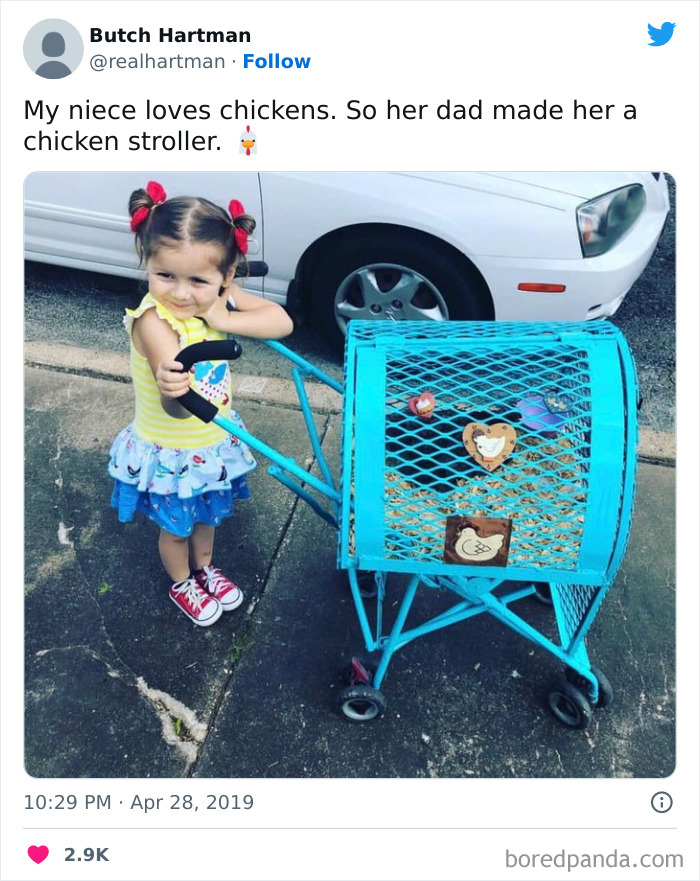 A Chicken Stroller
