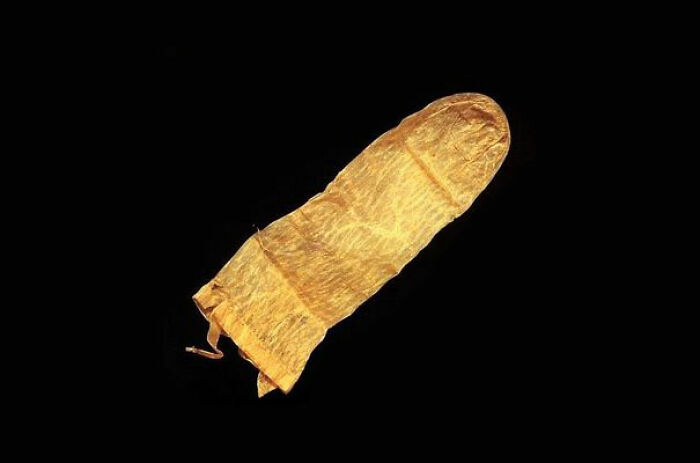 El preservativo más antiguo (370 años)