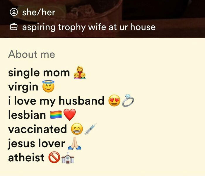 Me Trying To Get To Know Someone And Their Bio Is Like