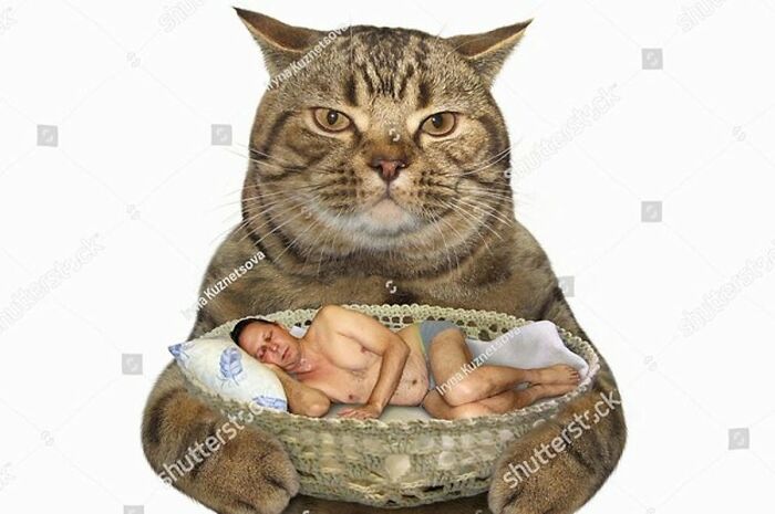 Cat With Man Bowl Or Sumn