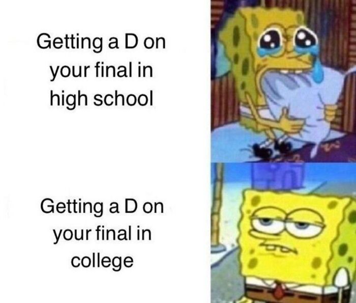 Funny-College-Memes-Humor-State-University