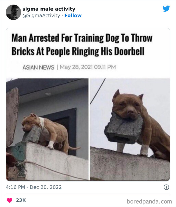 Sigma-Male-Activity-Posts