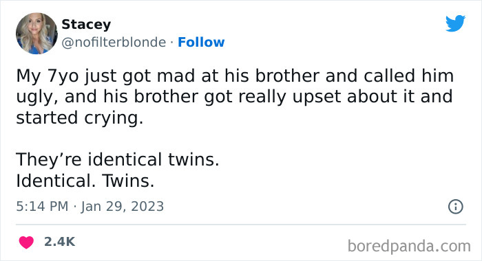 Stupid Twins