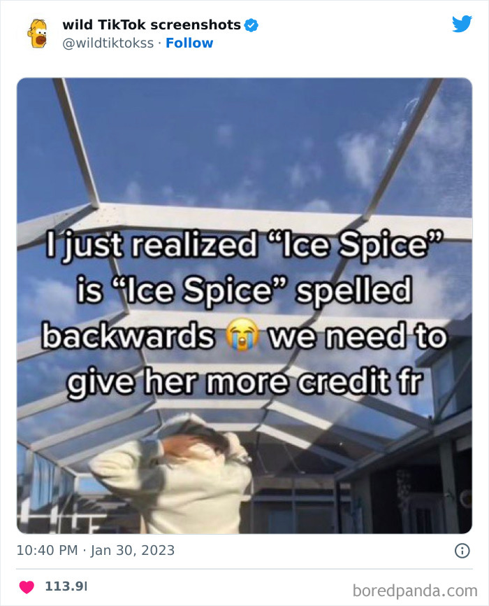 Crazy-Wild-Tiktok-Screenshots