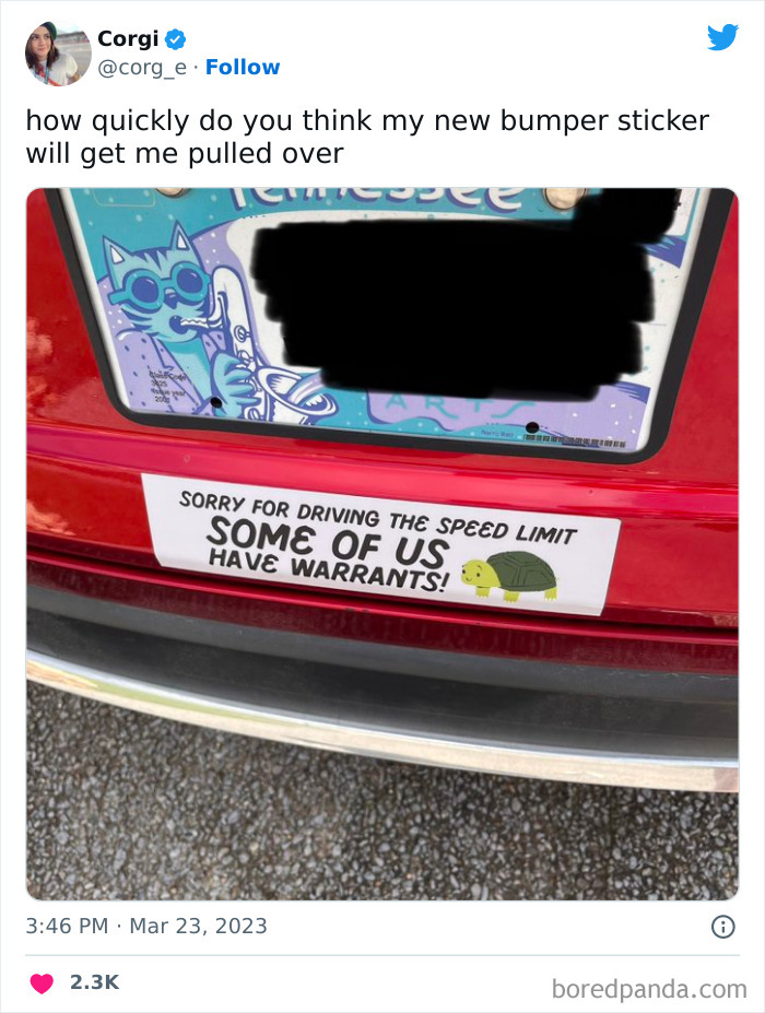 The Sticker Rules, But Combined With The License Plate, It Is Even Better