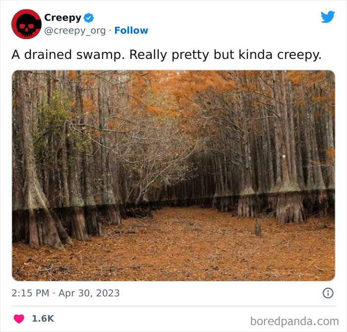 Creepy-Org-Tweets