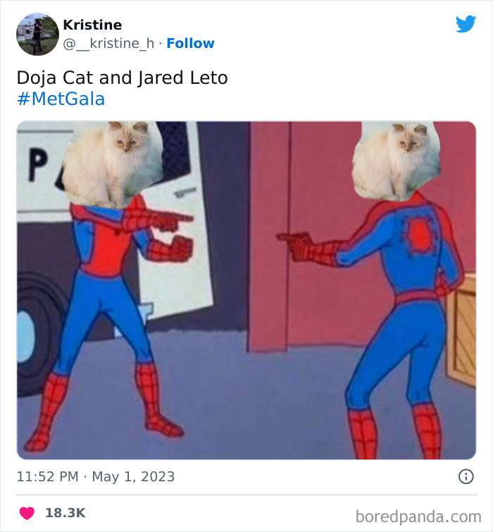 Met-Gala-Memes-2023