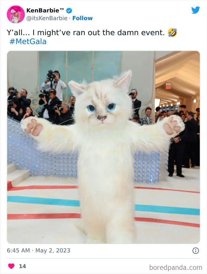 Met-Gala-Memes-2023