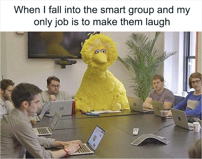 Funny-College-Memes-Humor-State-University