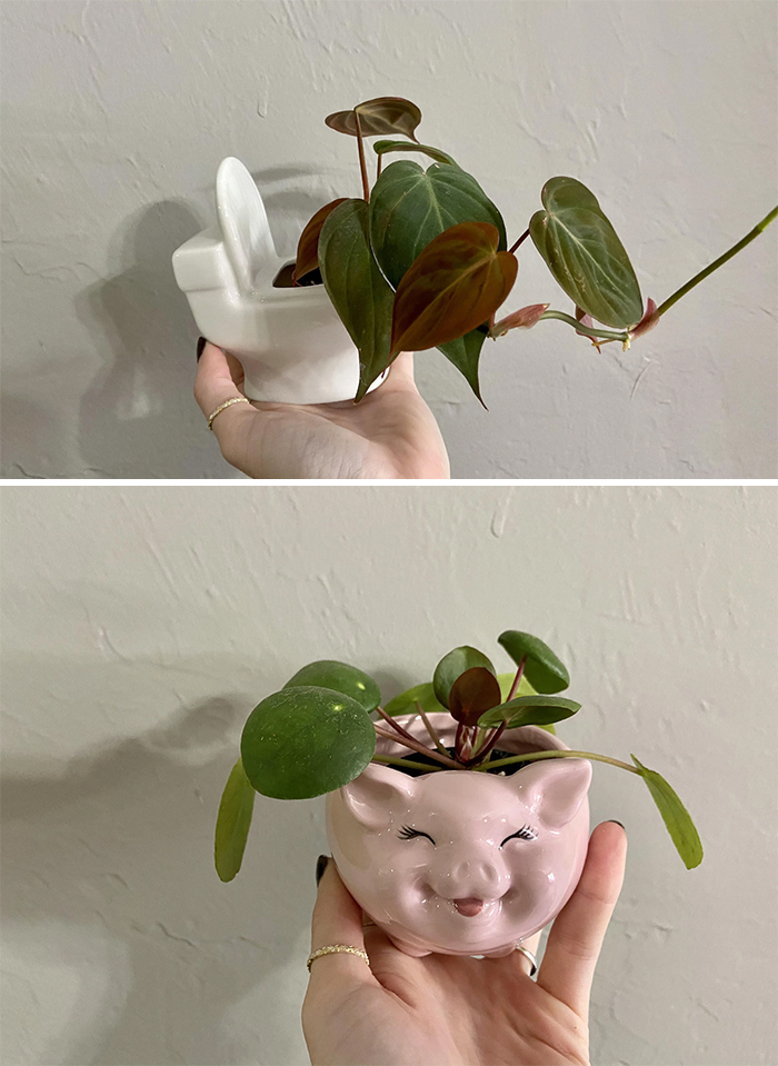 My Girlfriend Got Me Some Cute Pots For Christmas !