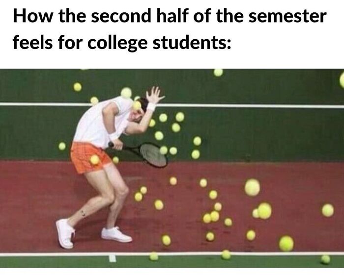 Funny-College-Memes-Humor-State-University