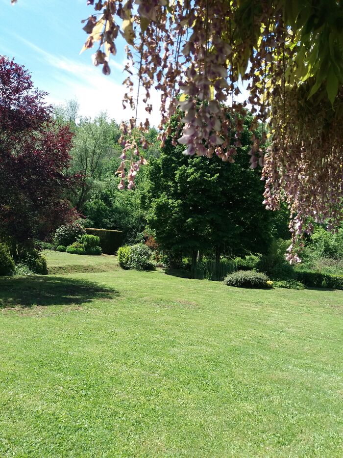 Finally Spring And Some Rain