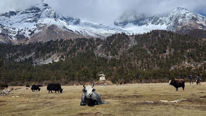 Completing 12-Day Manaslu Circuit Trek (5 Pics)