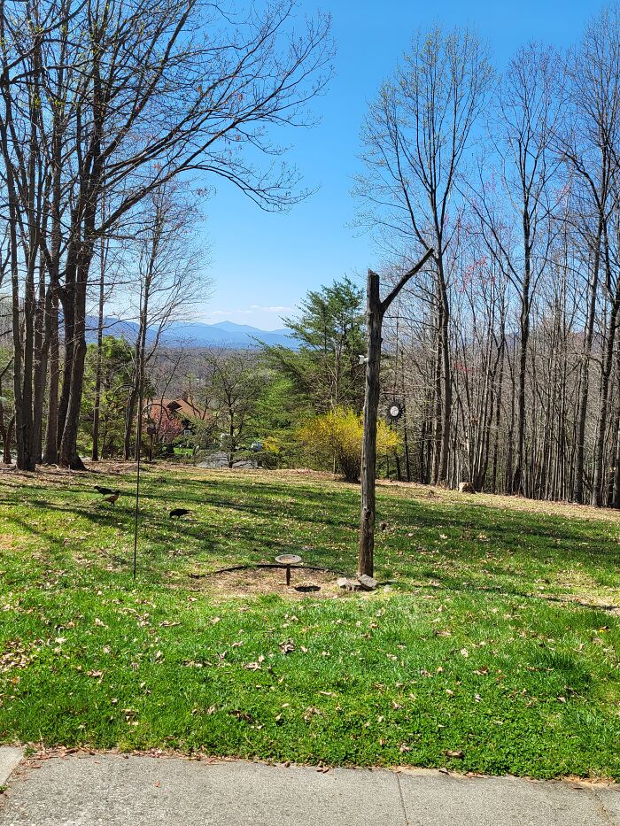 This Is The View From My Grandparents' House!