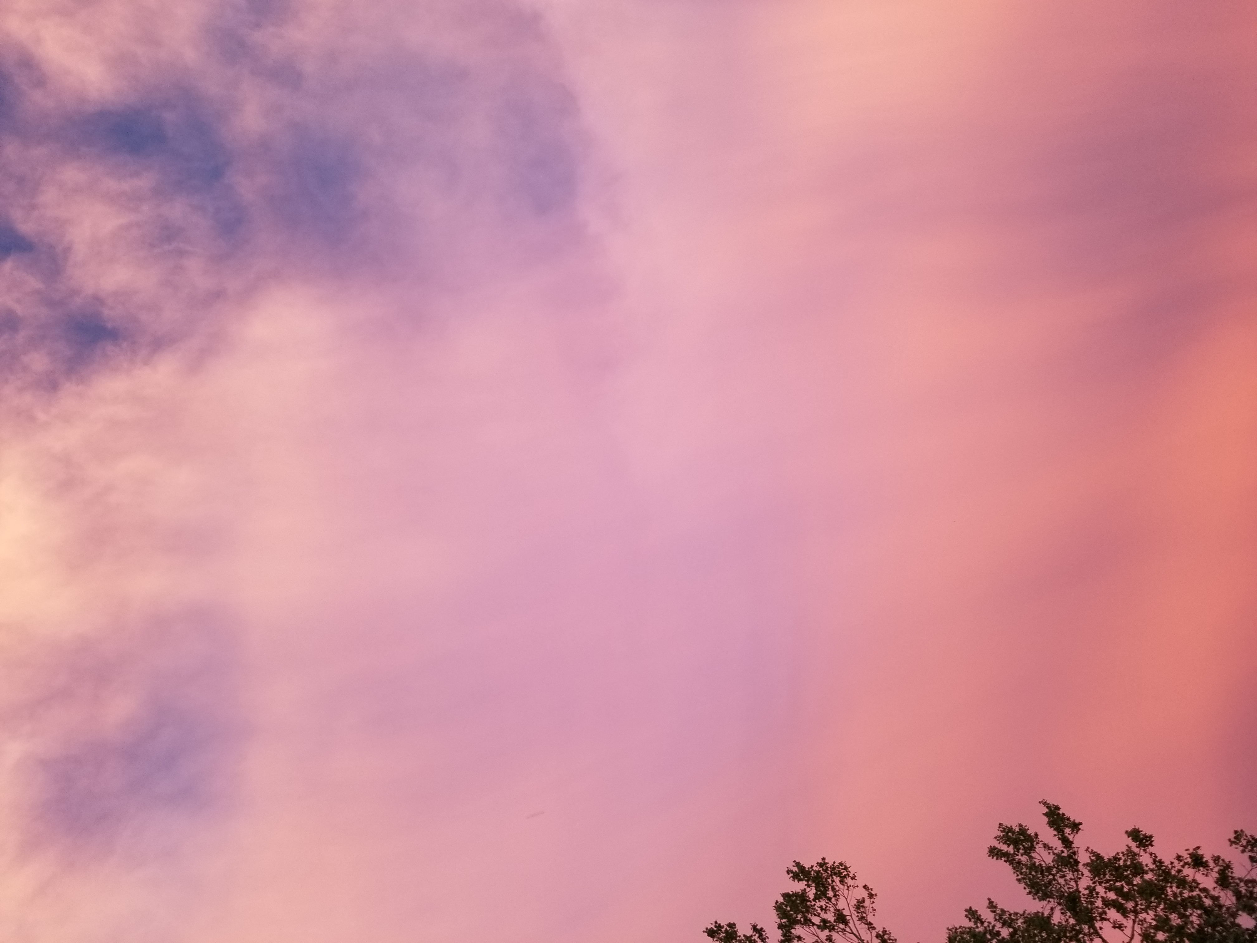 I Took These Just Outside My House A Few Minutes Ago. I Dub The The Missouriborealis